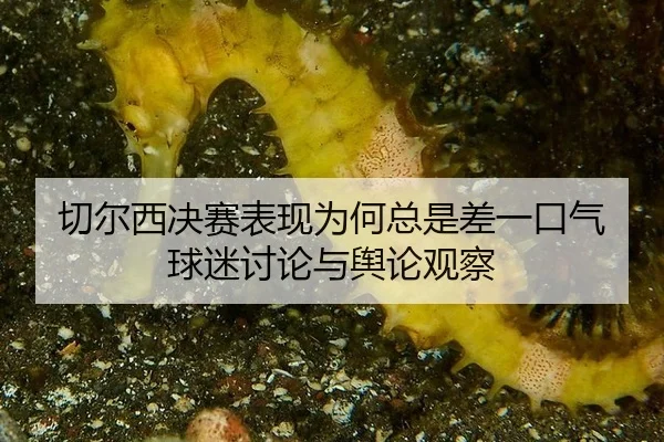 切尔西决赛表现为何总是差一口气 球迷讨论与舆论观察